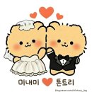 뉴로탑 | [부산 촬영드레스] 4편: '드레스 술람미' 피팅 후기! (피어리/러뷰/뉴로코코/뉴리베리/유색드레스 🧡)