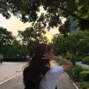 안온(Anon) 이미지