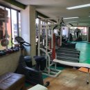 다윗복싱클럽 이미지