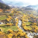 구례 이미지
