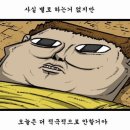 나는베짱이 이미지