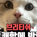 청아동물병원 이미지