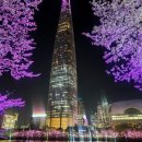 월평역 2번출구(육교밑) | 석촌호수 벚꽃 실시간 야경 평일 후기 (서울 벚꽃 명소)