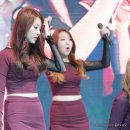미스터비어 Daum카페