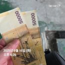 몽몽이-펫피플 미용실 | 오랜만입니다