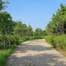 나눔숲 공원 화장실 이미지