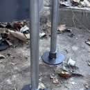 네발구이 이미지