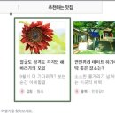 한쿡 이미지