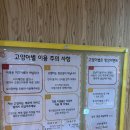 고양이별 작은아이 | 수원 영통 심심할 틈이 없는 색다른 고양이카페 고양이별 작은아이 (feat. 도도아저씨)