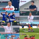 팀라이온 이미지