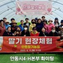 안동유통 이미지