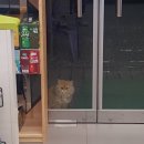 cs편의점 이미지
