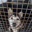 영동읍사무소 이미지