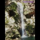 미소렌트카 이미지