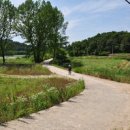 창녕 우포늪 이미지