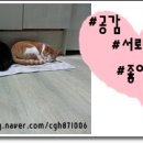 서라벌반점 - 경주시 노서동 | 서라벌반점