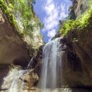 개별환경자원 이미지