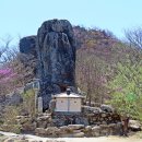 팔공산 동화사~비로봉~동봉~삿갓봉~관봉~갓바위지킴터(260425). 이미지