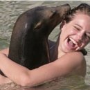 스마일짐 이미지