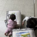 행복이불 | 🛌마망코르 텐셀 모달 이불 후기, 예민한 아이도 잘 자는 봄맞이 이불세트 (🤑내돈내산)