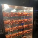 구도로통닭 원주무실점 | [원주맛집] 누룽지 통닭/살얼음 맥주 - 구도로 통닭 원주무실점