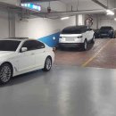 주정차단속-117 이미지