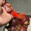 신민지식당 이미지