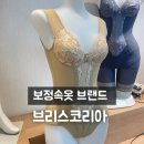 대구 보정속옷 브랜드 브리스코리아 건강까지 챙긴 기능성 속옷