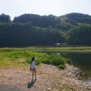 그린나무영월 이미지