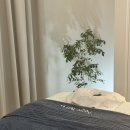 온아에스테틱 - 수원시 영통구 법조로 25 | 온아에스테틱