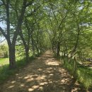 너나들이캠핑장 이미지