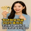 사회입문 청년의 첫 재테크 전략 | &#34;월 50만 원 넣고 100만 원 넘게 벌었다?! 청년희망적금 신청 방법부터 후기까지 리얼 공개!&#34;