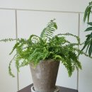 구미대로32길-1 이미지