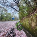 평산초등학교 | 울산 중구 병영 빈티지 펌 잘하는 미용실 찾았어요