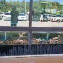 추암택지길 이미지