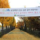 송정제방길 이미지