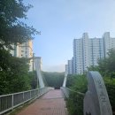 외도벨리애완견펫 | 판교 삼족오교 산책길 아이와 애완견과 함께 주말 나들이