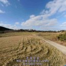 신안천사공인중개사사무소 이미지