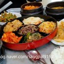 청솔아로니아