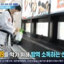 고일 이미지