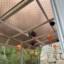 애스톤키즈풀빌라 이미지