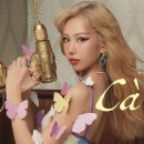 베트남노래 이미지