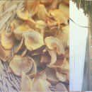 002-조리-002 이미지