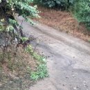 남전농장 이미지