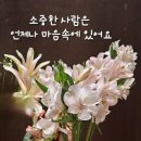 수지상사 이미지