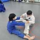 BEST유도관 이미지