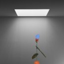 원미구 부천로 81 이미지