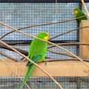 황태자농장 이미지