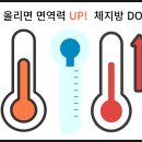 36.5체온다이어트 이미지