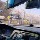 백양사 먹거리타운 이미지